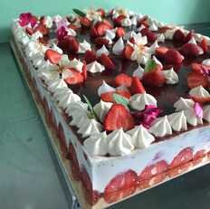 Photo d'un fraisier géant