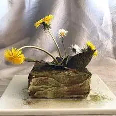 Photo entremet matcha-choco